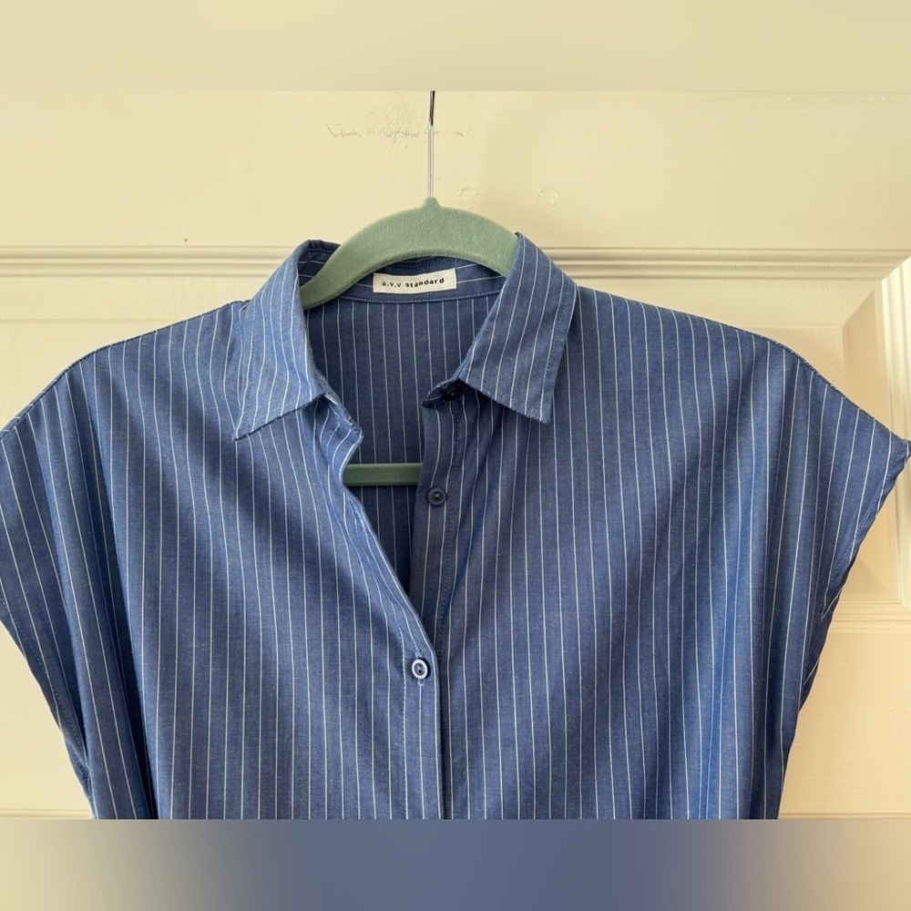 a.v.v. Standard Blue Striped Button-Down Dress - Picture 2 of 5
